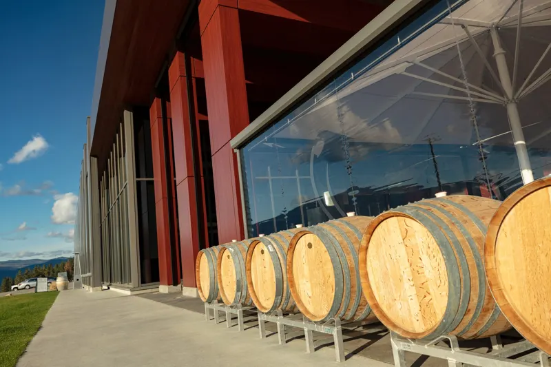 Oak barrels along the glass wall of the winery