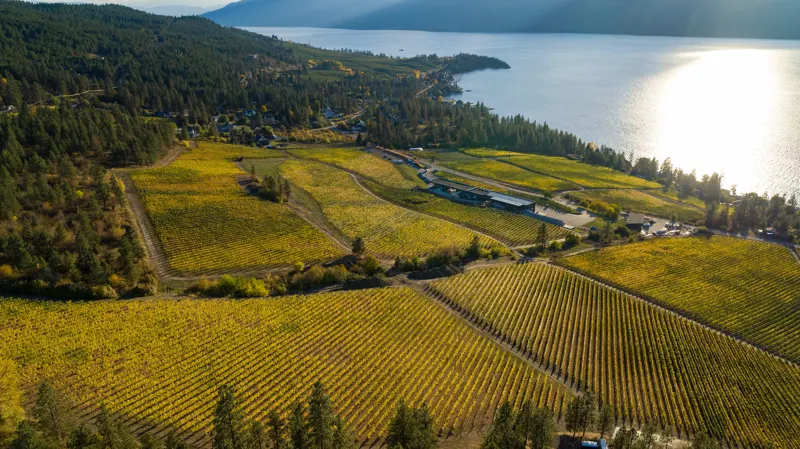 Vineyard blocks above Okanagan Lake in Lake Country