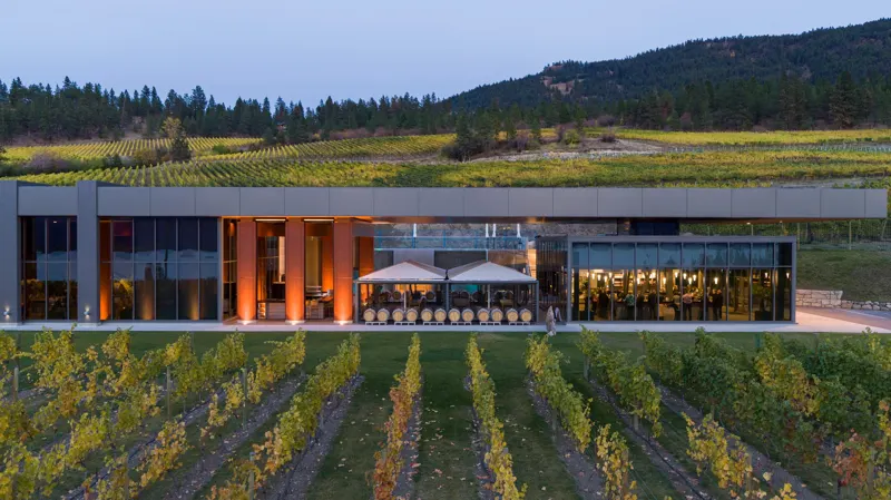 The 50th Parallel winery lit up at dusk above the vines